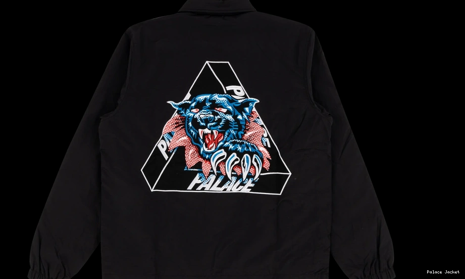 Palace Coach Ripped Jacket 0822
